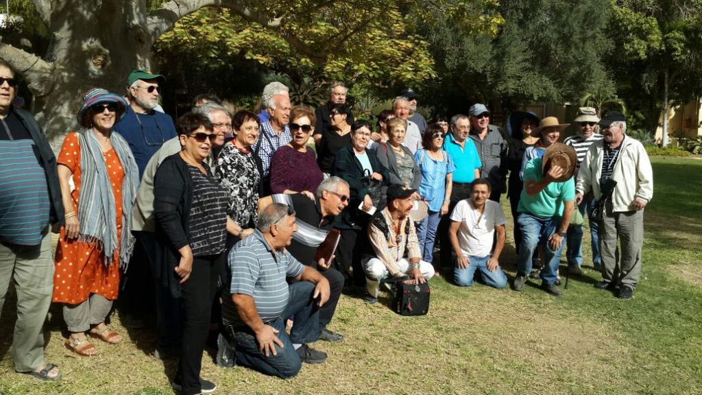 ���� ����� ���